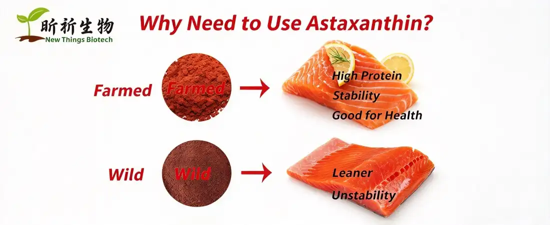 why need to use astaxanthin powder bulk why need to use astaxanthin powder bulk