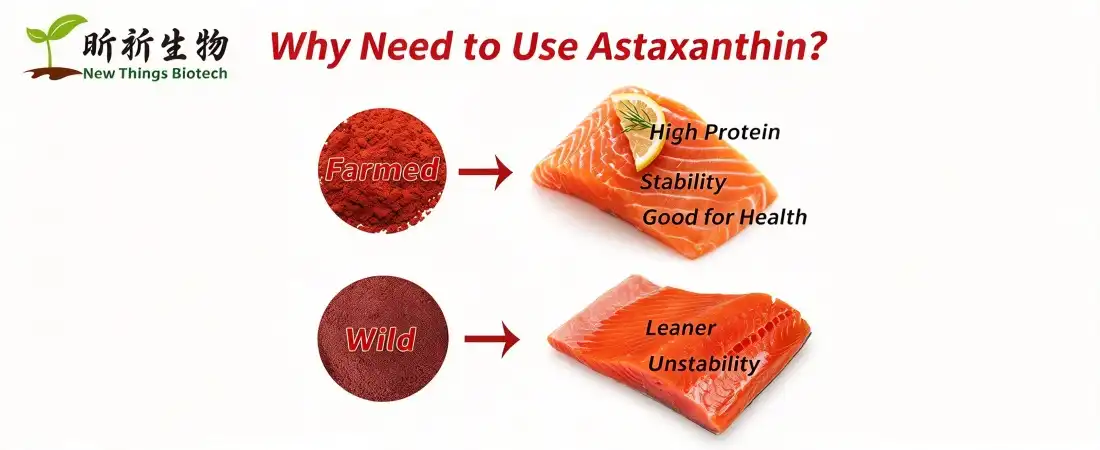 advantage for astaxanthin powder bulk