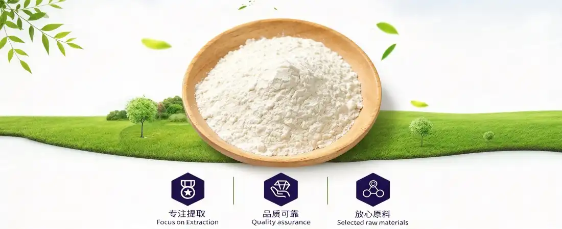 organic resveratrol powder organic resveratrol powder