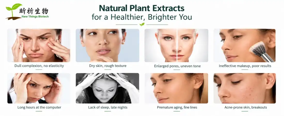 advantage for organic resveratrol powder