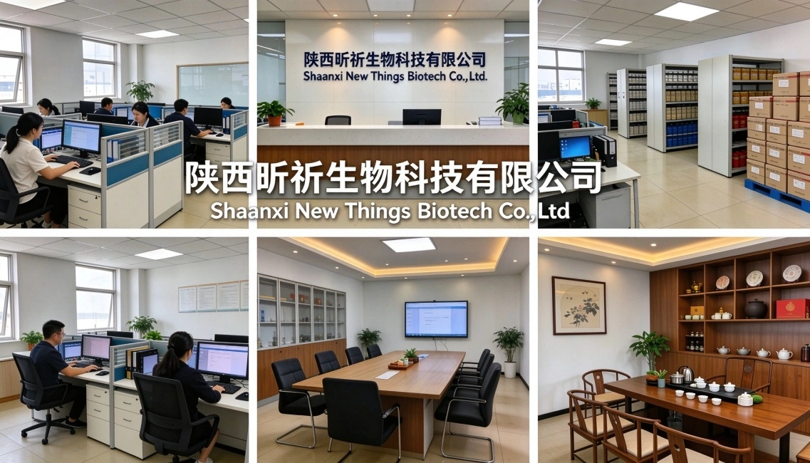 our office our office