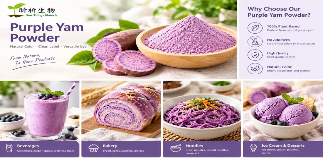 function and application for ube starch powder