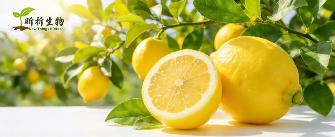 natural source for dried lemon juice powder natural source for dried lemon juice powder