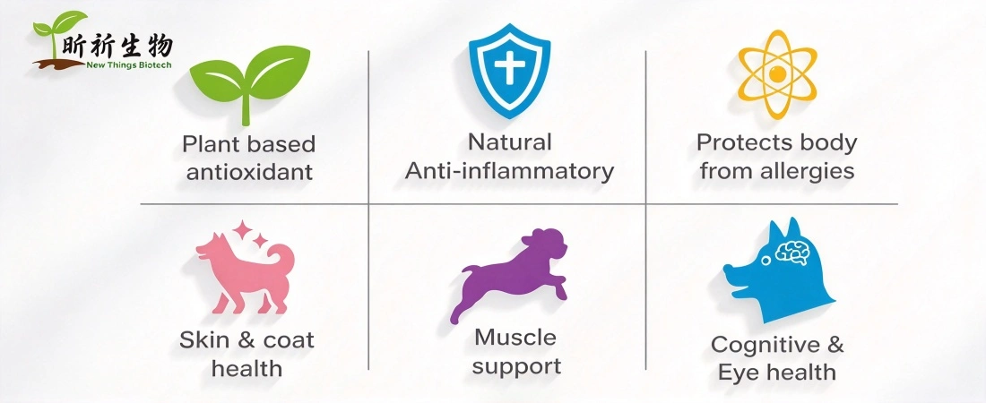 Benefit for Astaxanthin Powder Bulk Benefit for Astaxanthin Powder Bulk