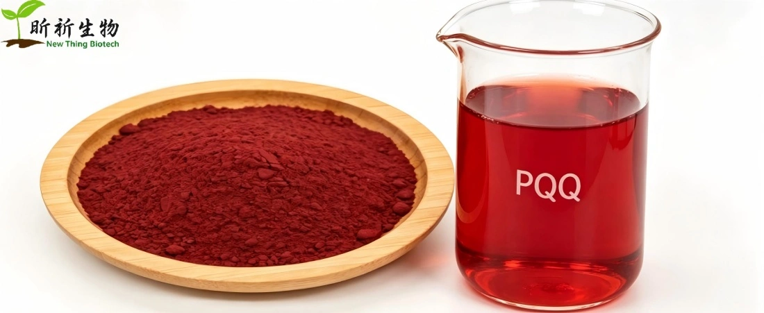 Active PQQ Powder Active PQQ Powder
