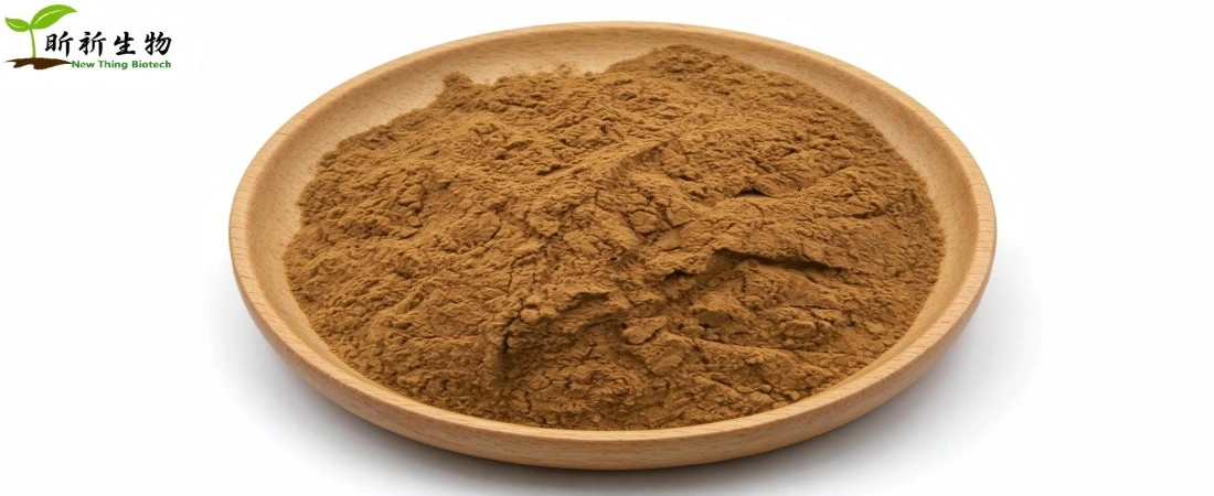 Echinacea Extract powder Echinacea Extract powder