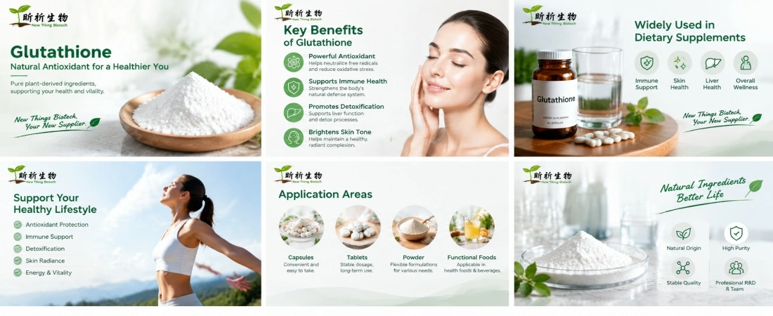 Application for Torula Yeast Extract Application for Torula Yeast Extract