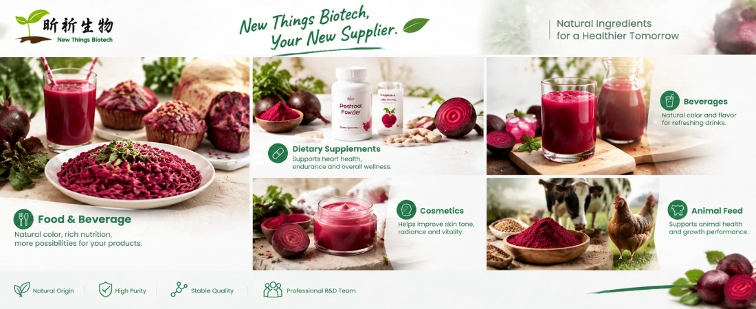Application for Organic Red Beet Powder Application for Organic Red Beet Powder