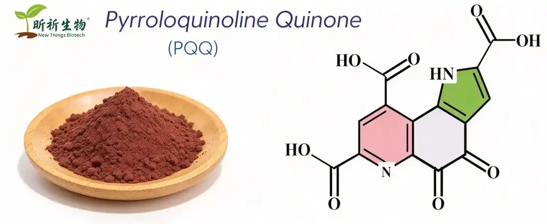 active PQQ powder
