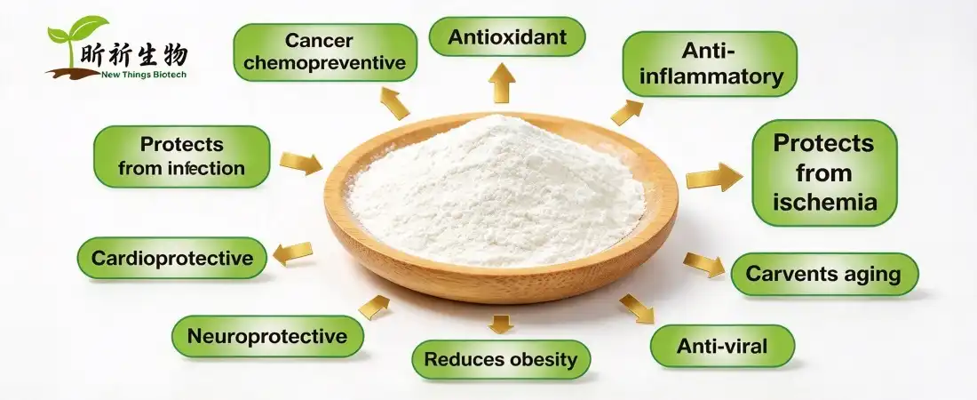function for resveratrol supplement powder