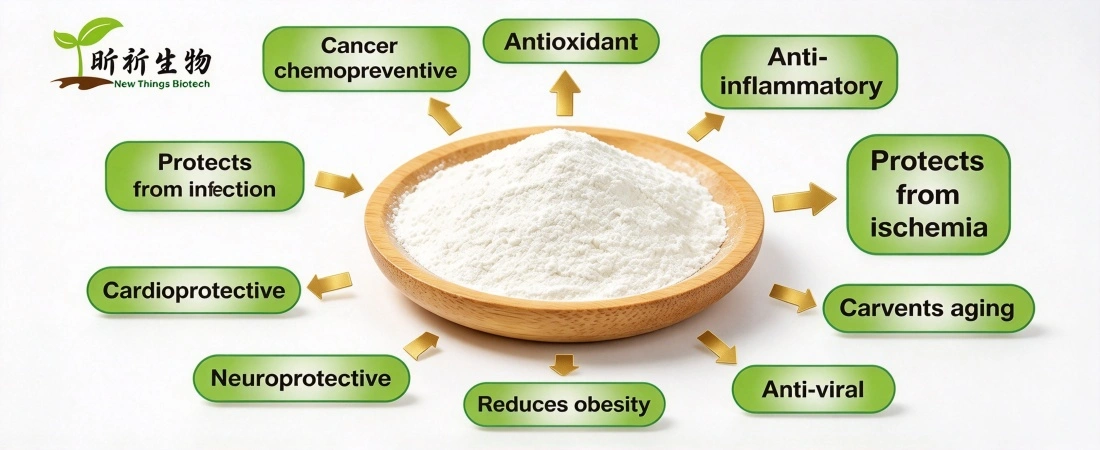 function for organic resveratrol powder function for organic resveratrol powder