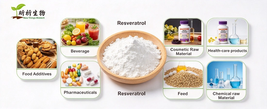 application for resveratrol bulk powder