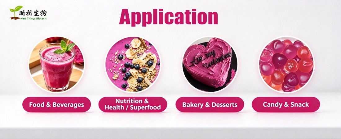 application for Red Dragonfruit Powder 