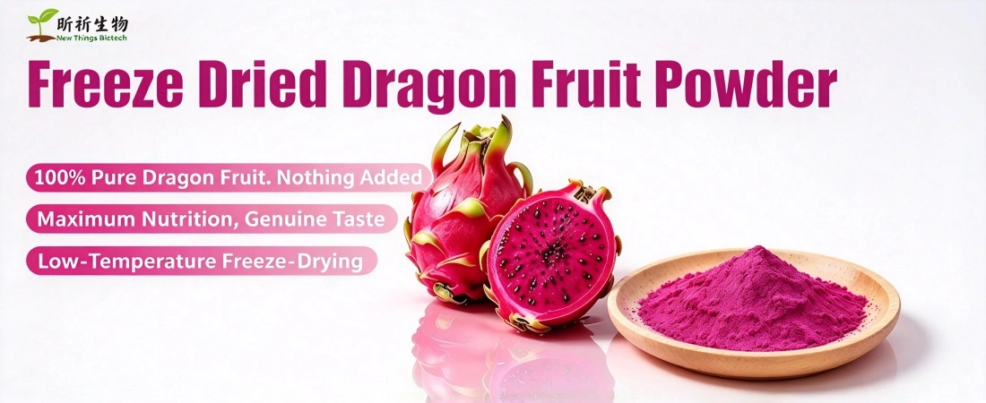 advantage for bulk red dragonfruit powder advantage for bulk red dragonfruit powder