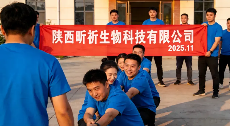 The 2025 Team Conference of Shaanxi New Things Biotech ended successfully The 2025 Team Conference of Shaanxi New Things Biotech ended successfully