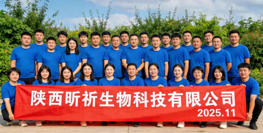 The 2025 Team Conference of Shaanxi New Things Biotech ended successfully The 2025 Team Conference of Shaanxi New Things Biotech ended successfully