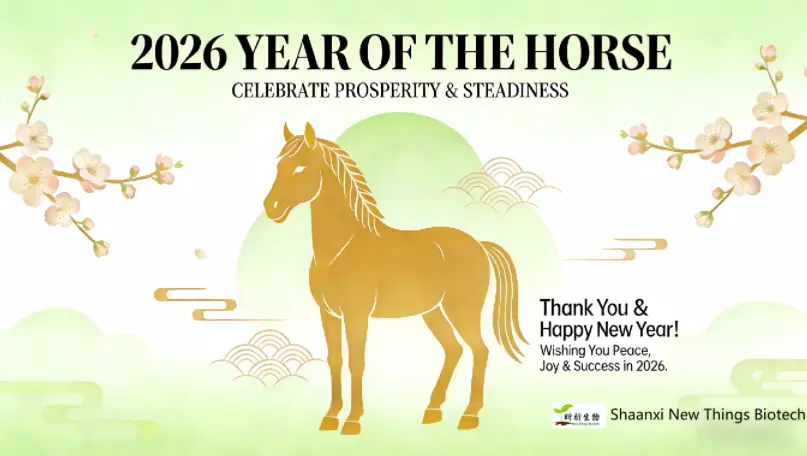 Festive Season and Reunion Celebration - 2026 Chinese New Year Holiday Program & Friendly Reminders Festive Season and Reunion Celebration - 2026 Chinese New Year Holiday Program & Friendly Reminders