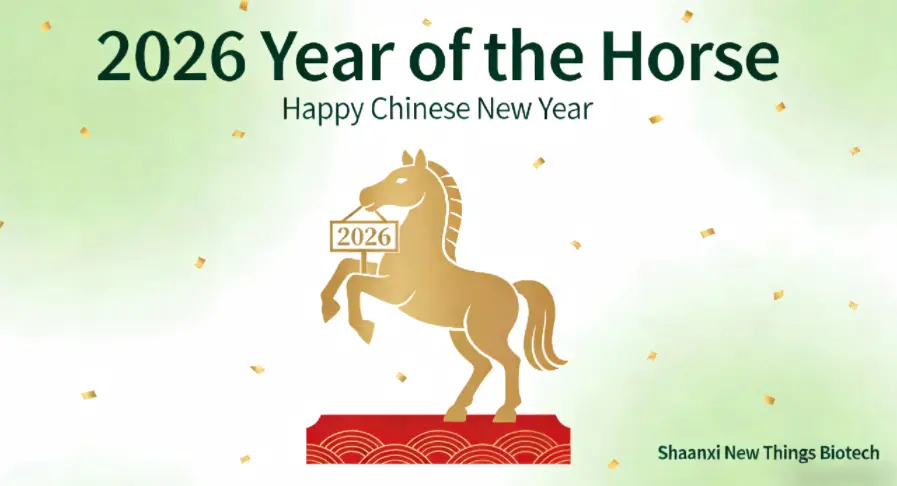 Festive Season and Reunion Celebration - 2026 Chinese New Year Holiday Program & Friendly Reminders Festive Season and Reunion Celebration - 2026 Chinese New Year Holiday Program & Friendly Reminders