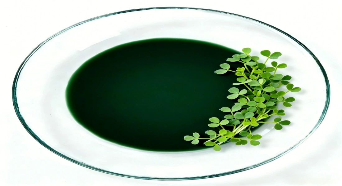 Copper Chlorophyll Paste Copper Chlorophyll Paste