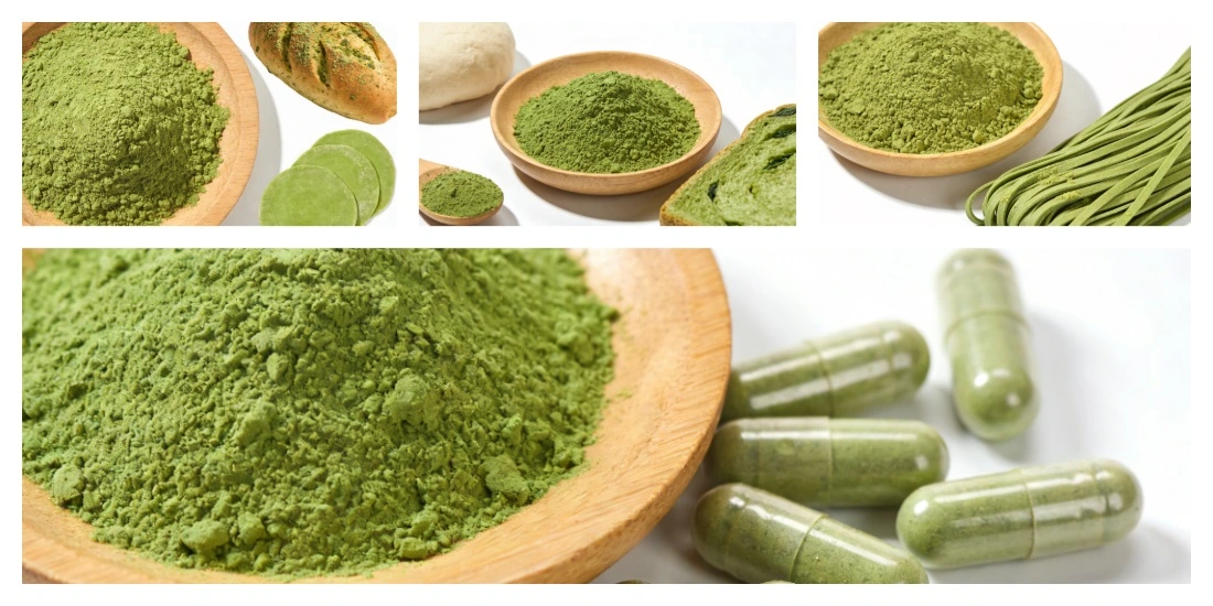Application for Spinach Powder Bulk Application for Spinach Powder Bulk
