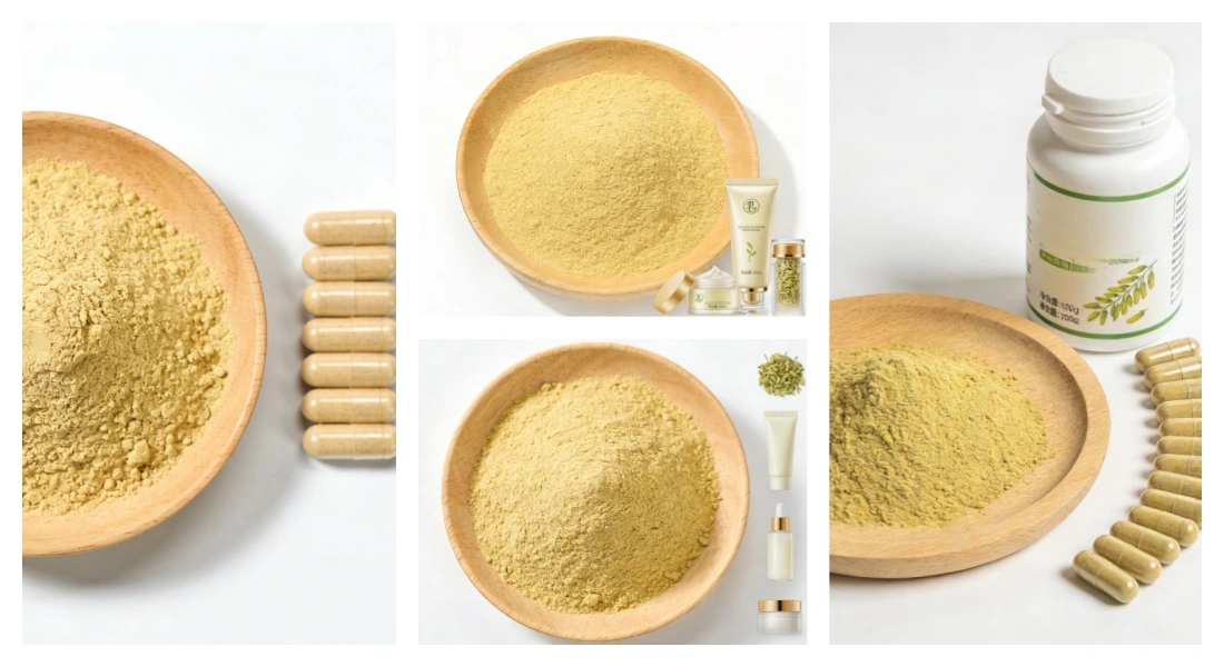 Application for Sophora Japonica Extract Quercetin Application for Sophora Japonica Extract Quercetin