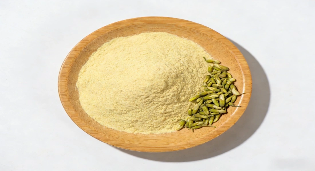 Sophora Japonica Extract Quercetin