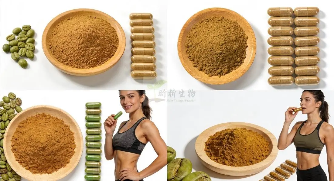 Application for Organic Green Coffee Bean Extract Application for Organic Green Coffee Bean Extract