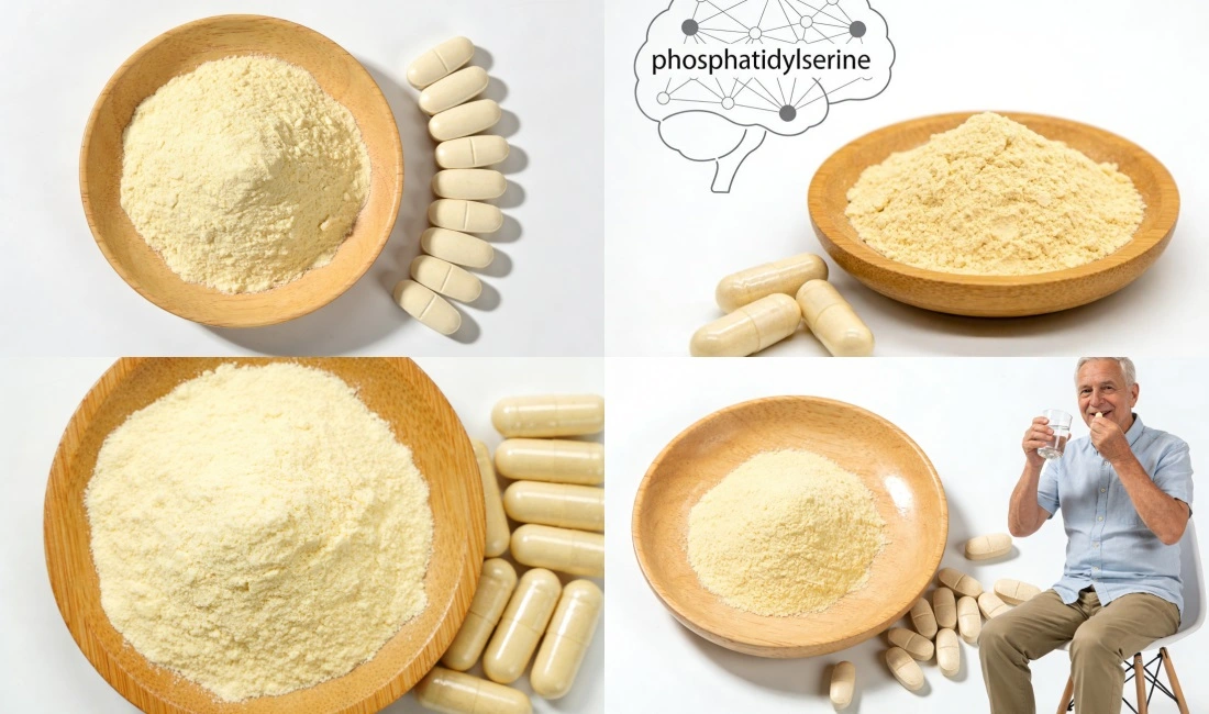 Application for Phosphatidylserine Powder Bulk Application for Phosphatidylserine Powder Bulk