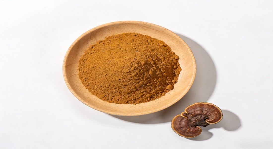 Turkey Tail Mushroom Powder Bulk