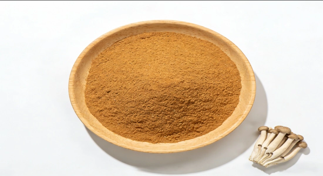 Oyster Mushroom Extract Oyster Mushroom Extract