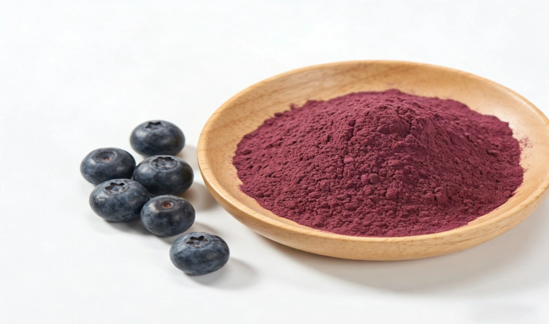 Blueberry Concentrate Powder