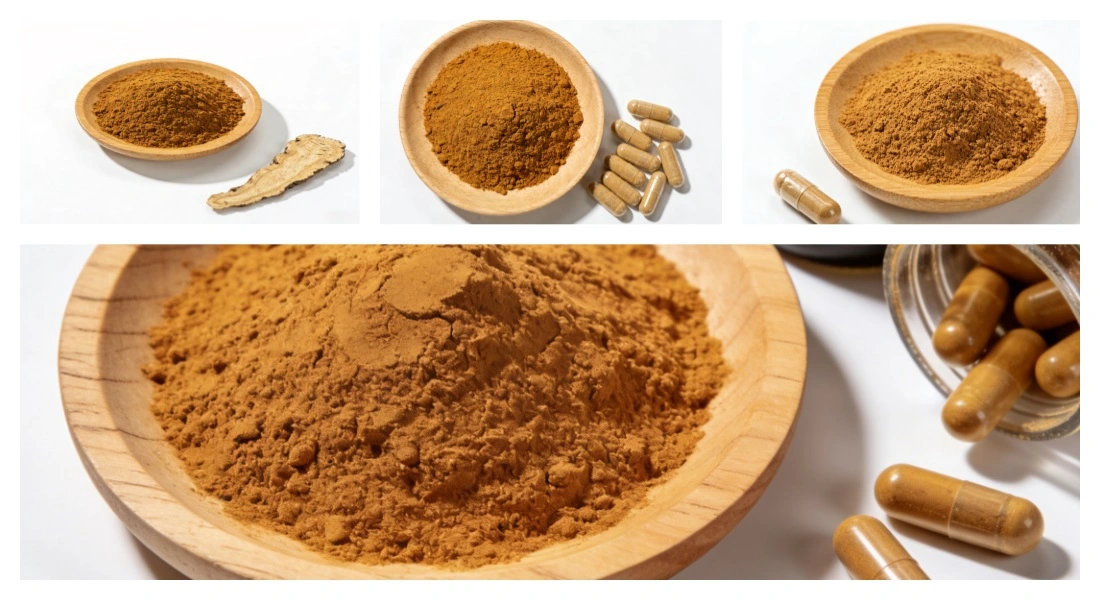 Application for Angelica Root Extract