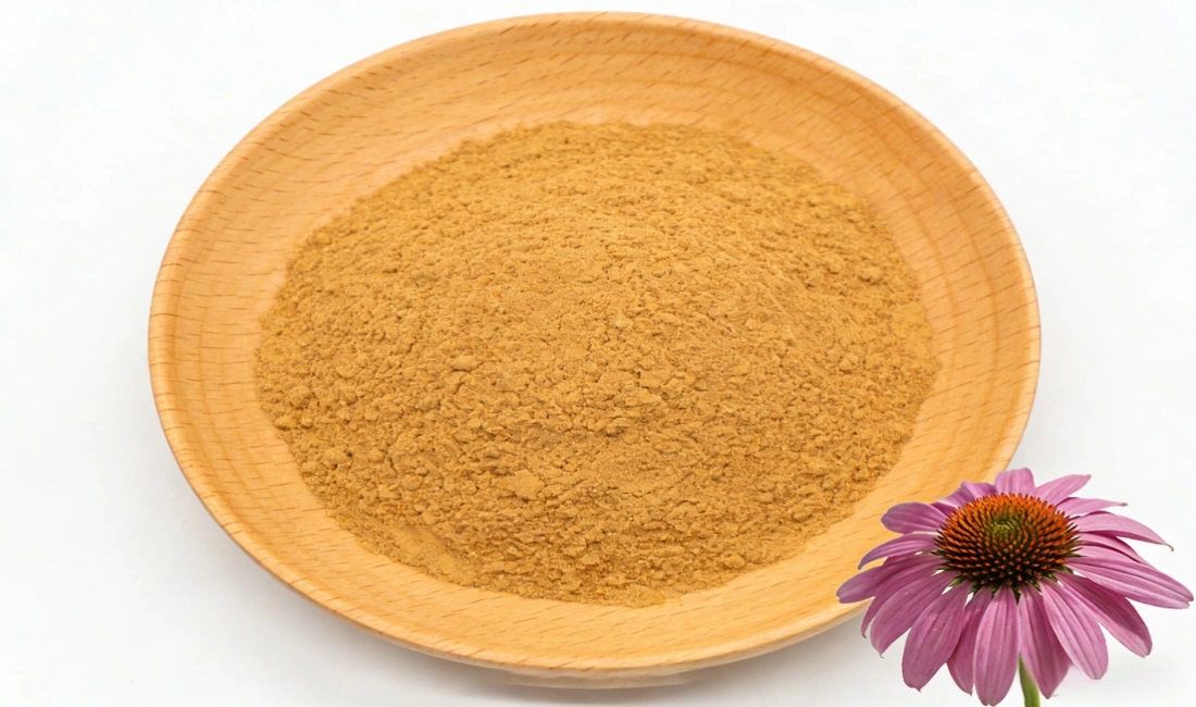 Echinacea Extract powder Echinacea Extract powder