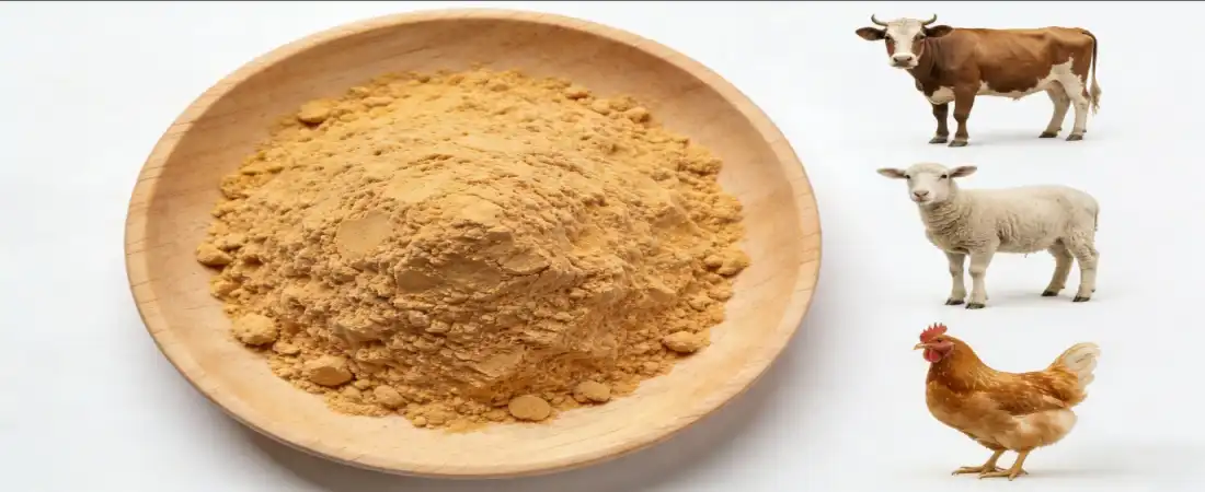 Application for Tannin Powder Bulk for feed