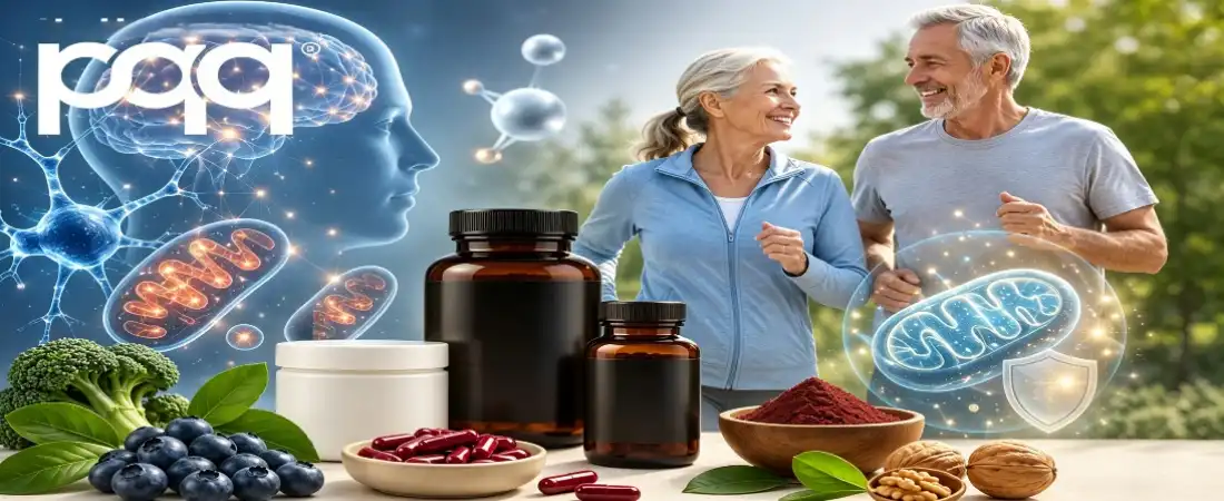 Function and Application for Bulk PQQ Powder