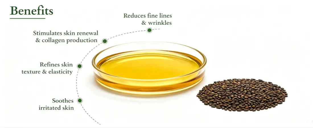 Function for Bakuchiol Facial Oil Function for Bakuchiol Facial Oil
