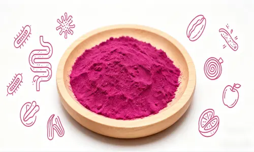 function for dragon fruit powder bulk