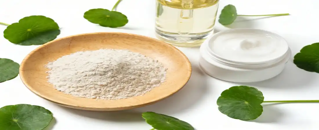 Application for gotu kola extract for skin Application for gotu kola extract for skin