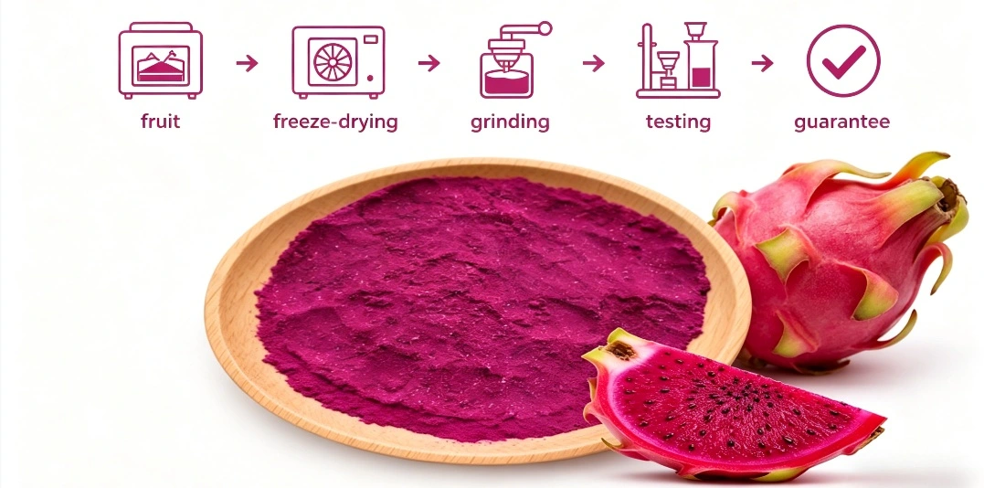 flow chart for Drgaon fruit freeze dried powder