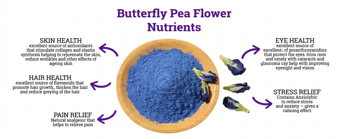Benefit for Powdered butterfly pea flower Benefit for Powdered butterfly pea flower
