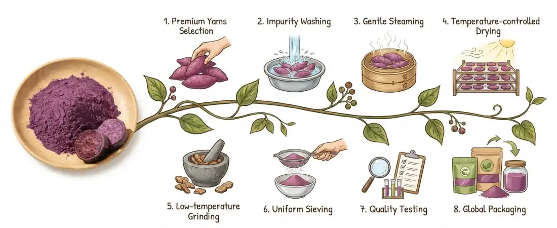 flow chart for Pure purple yam powder 
