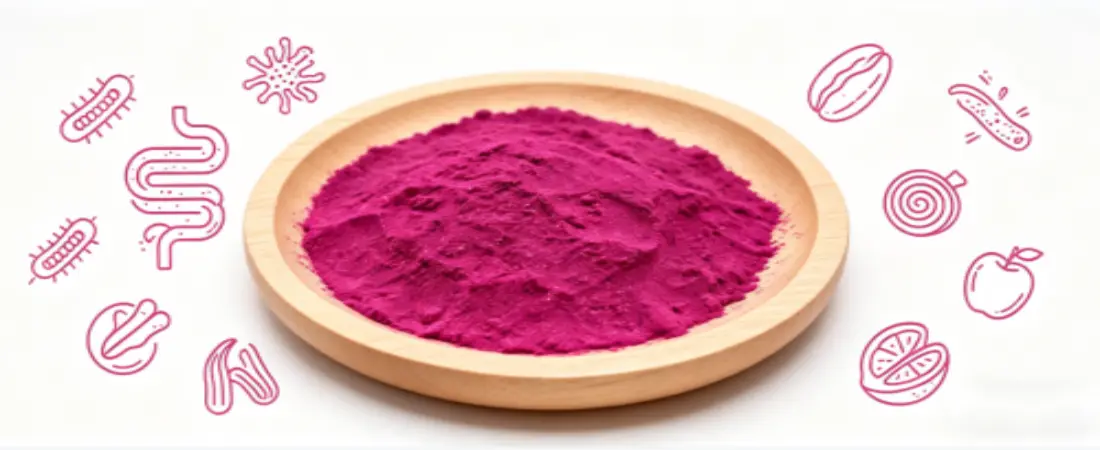 function for Dragon Fruit Juice Powder