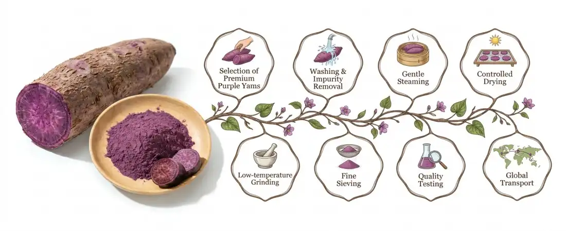 flow chart for Ube yam powder flow chart for Ube yam powder