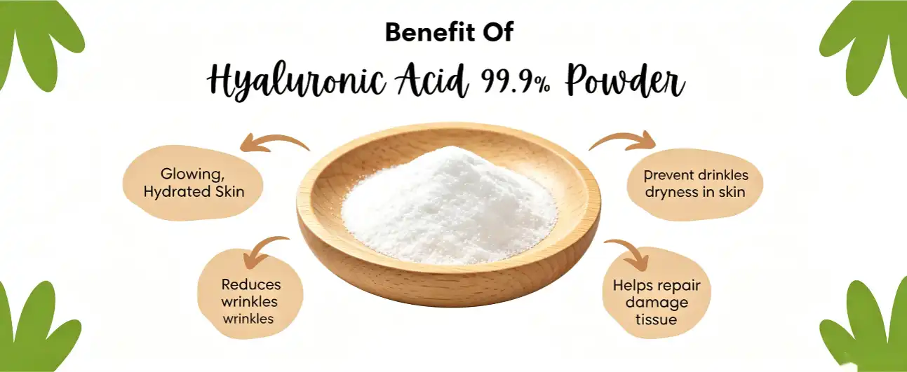 what is hyaluronate skin care what is hyaluronate skin care