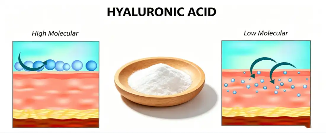difference of Hyaluronate skin care with high molecular and low molecular difference of Hyaluronate skin care with high molecular and low molecular