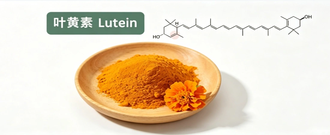 Marigold Extract Lutein Powders