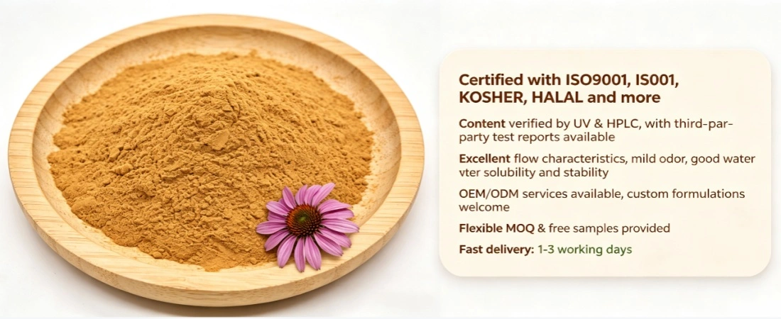 advantage for echinacea purpurea extract powder 