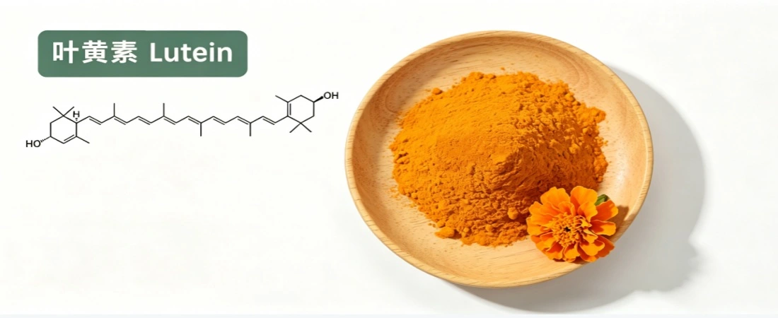 marigold extract powder marigold extract powder