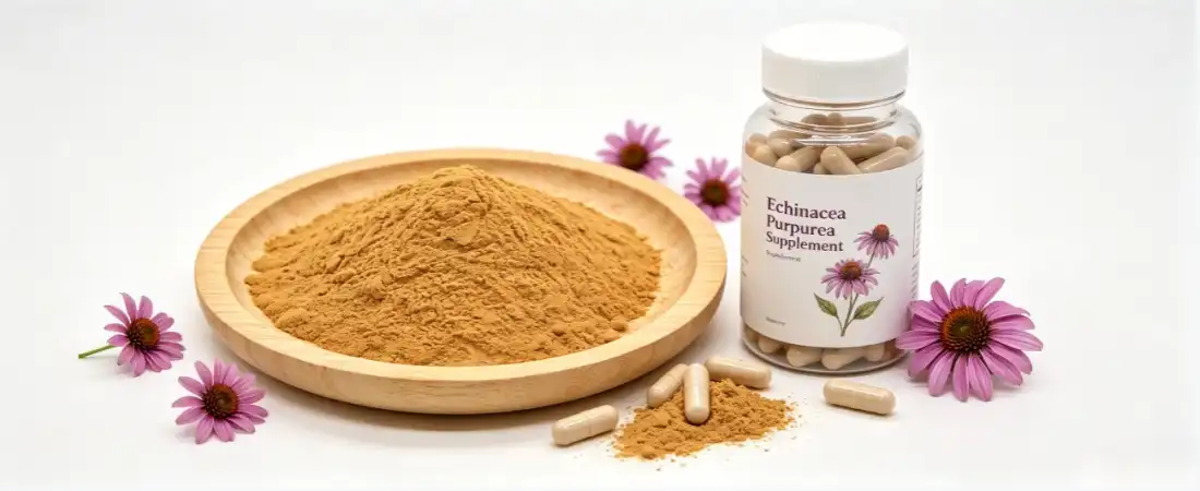 application for echinacea purpurea extract powder application for echinacea purpurea extract powder