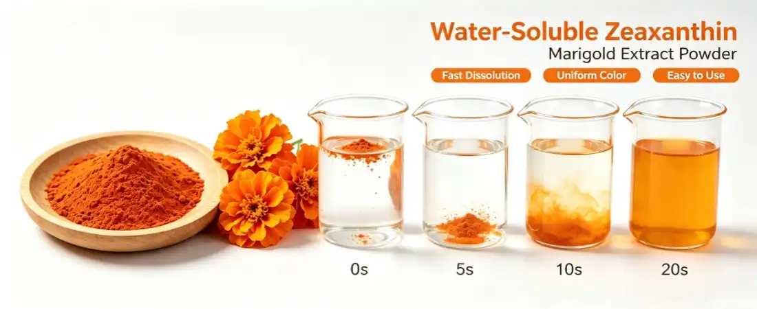 water soluble for zeaxanthin CWS powder